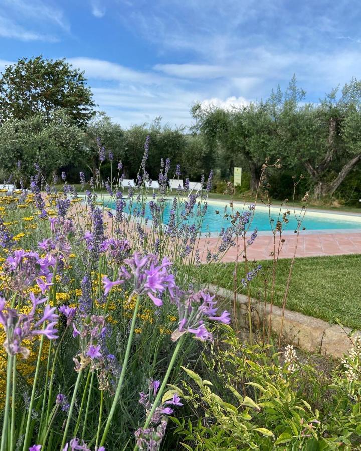 Glamping Suite Il Grillo Lamporecchio Luaran gambar